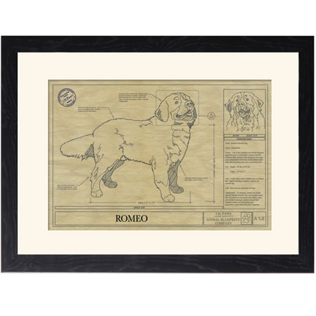 Personalized Framed Dog Breed Architectural Renderings - Bernese Mountain Dog