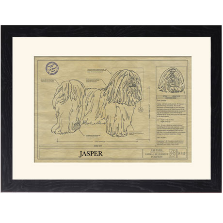 Personalized Framed Dog Breed Architectural Renderings - Havanese