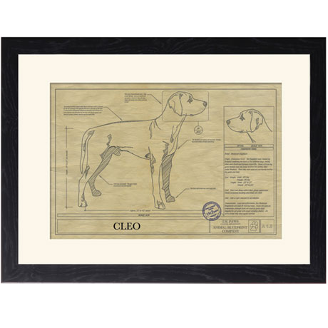 Product image for Personalized Framed Dog Breed Architectural Renderings - Rhodesian Ridgeback