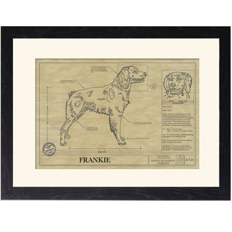 Personalized Framed Dog Breed Architectural Renderings - Brittany