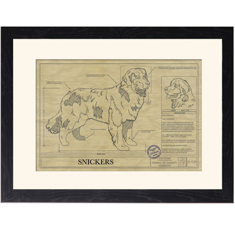 Personalized Framed Dog Breed Architectural Renderings - Newfoundland
