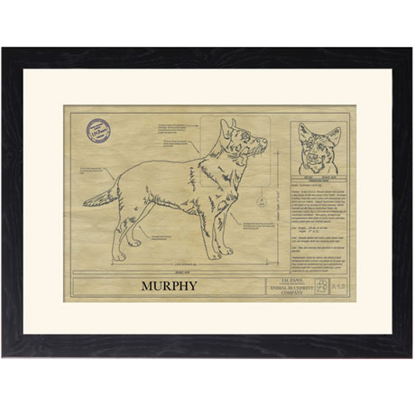 Personalized Framed Dog Breed Architectural Renderings - Australian Cattle Dog