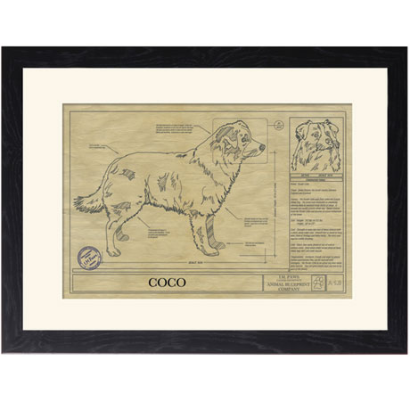 Personalized Framed Dog Breed Architectural Renderings - Border Collie