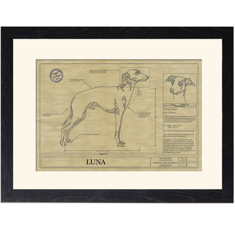 Personalized Framed Dog Breed Architectural Renderings - Italian Greyhound