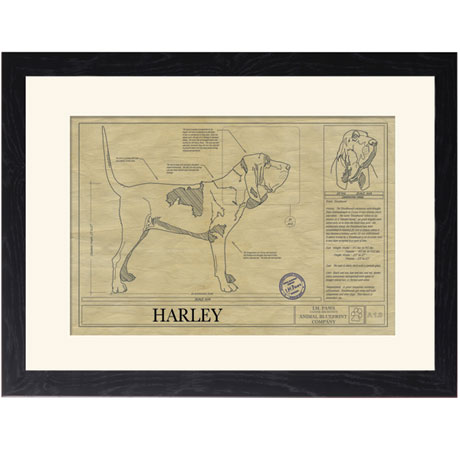 Personalized Framed Dog Breed Architectural Renderings - Bloodhound