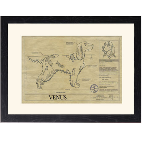 Personalized Framed Dog Breed Architectural Renderings - Gordon Setter