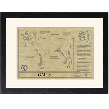Product image for Personalized Framed Dog Breed Architectural Renderings - Greater Swiss Mountain Dog