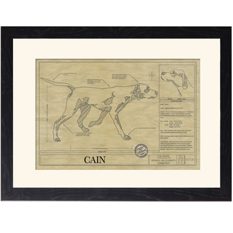 Product image for Personalized Framed Dog Breed Architectural Renderings - Pointer