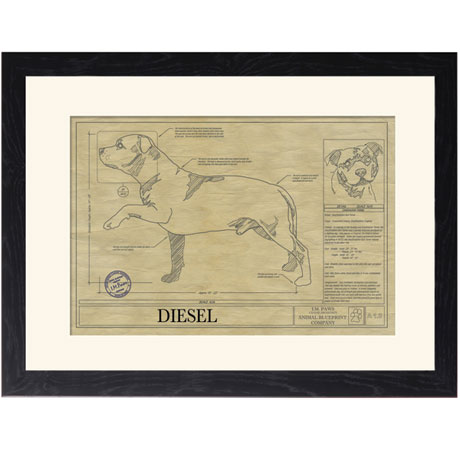 Personalized Framed Dog Breed Architectural Renderings - Staffordshire Bull Terrier