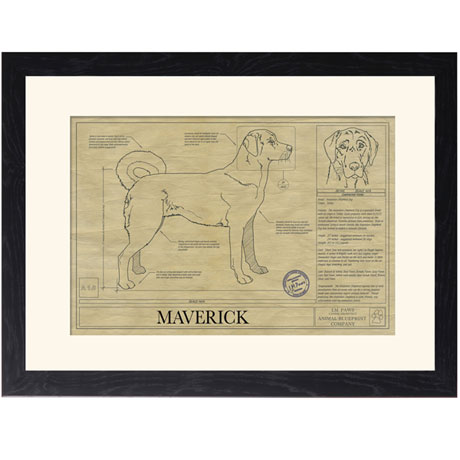 Personalized Framed Dog Breed Architectural Renderings -Anatolian Shepherd