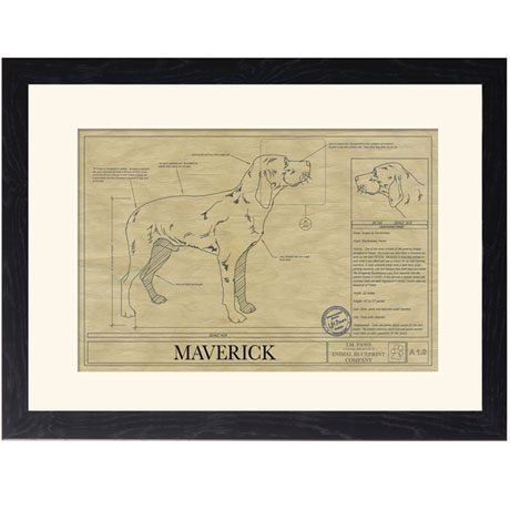 Personalized Framed Dog Breed Architectural Renderings -Braque du Burbon