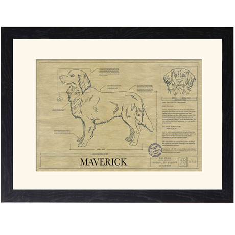 Personalized Framed Dog Breed Architectural Renderings -Nova Scotia Duck Tolling Retriever