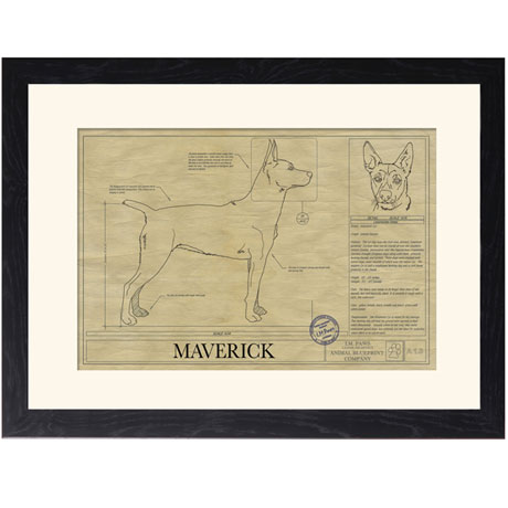 Personalized Framed Dog Breed Architectural Renderings -Mountain Cur
