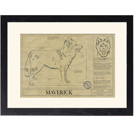 Personalized Framed Dog Breed Architectural Renderings -Native American Indian Dog