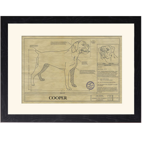 Personalized Framed Dog Breed Architectural Renderings - Boxer