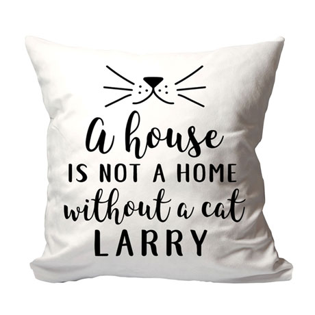Personalized 'A House is Not a Home Without a Cat' Pillow