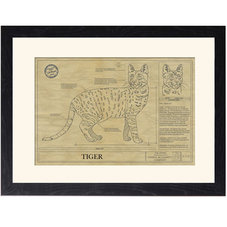 Personalized Framed Cat Breed Architectural Renderings - Egyptian Mau