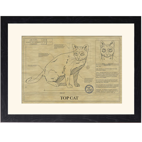 Personalized Framed Cat Breed Architectural Renderings - Korat