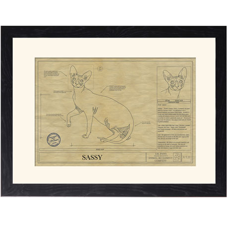 Personalized Framed Cat Breed Architectural Renderings - Sphynx