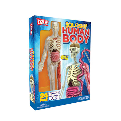 SmartLab Squishy Human Body Toy