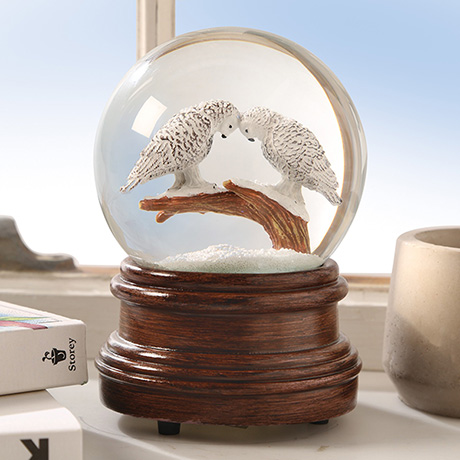 Product image for Perfect Pair Owl Musical Snow Globe