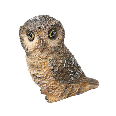 Product image for Owl Pot Bellys® Boxes
