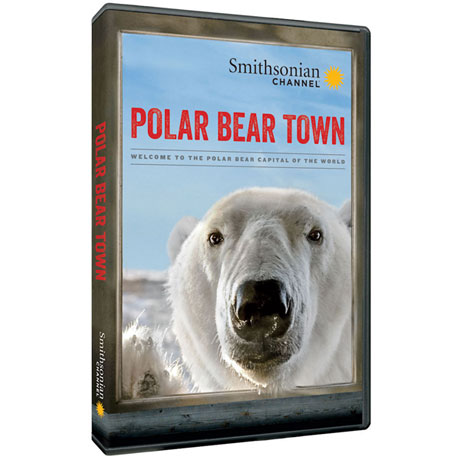 Product image for Polar Bear Town: Season 1 DVD