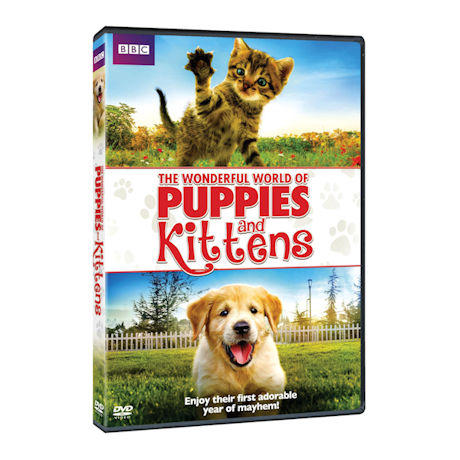 The Wonderful World of Puppies and Kittens DVD