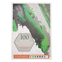 Product Image for 100 Mystery Illustrations to Unveil Book