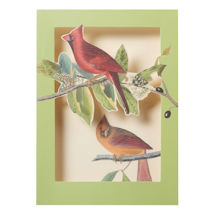 Product Image for Audubon Birds Pop-Up Cards Set