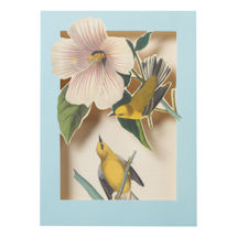 Alternate Image 3 for Audubon Birds Pop-Up Cards Set
