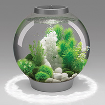 Alternate Image 3 for BiOrb Aquarium Kit - 4 Gallon
