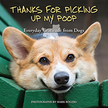 Alternate image for Thanks For Picking Up My Poop