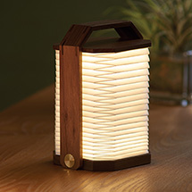 Product Image for Accordion Lamp