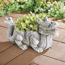 Product Image for Dragon Planter