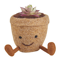 Alternate image for Felted Faux Succulent Plant Sitters - Set of 3