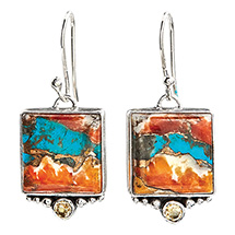 Product Image for Oyster Turquoise Earrings