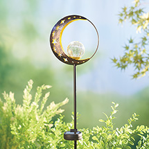 Alternate image for Solar Moon and Stars Yard Stake LED Lights
