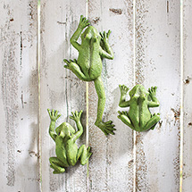 Alternate image for Climbing Frogs Wall Art