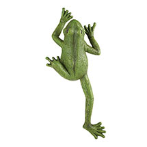 Alternate Image 1 for Climbing Frogs Wall Art