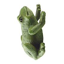 Alternate Image 4 for Climbing Frogs Wall Art