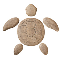 Alternate Image 1 for Turtle Stepping Stone Set