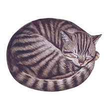 Alternate Image 1 for Curled-Up-Cat Placemats - Set of 4