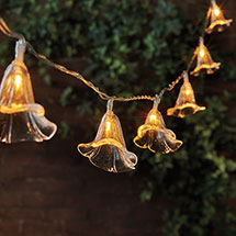 Product Image for Morning Glory LED String Lights