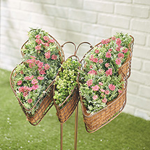 Product Image for Butterfly Planter Stake