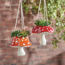 Product Image for Hanging Toadstool Planters Set