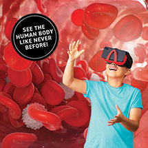 Alternate Image 4 for Virtual Reality Human Body
