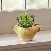 Product Image for Ceramic Yellow Chicken Planter