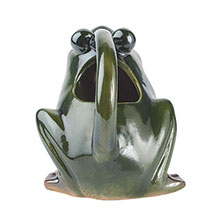 Alternate Image 5 for Stonewear Frog Pitcher