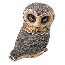 Alternate image Owl Pot Bellys&reg; Boxes - Saw-Whet Owl